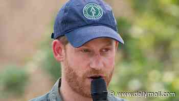 Prince Harry parts ways with controversial charity African Parks which has faced claims of human rights abuses carried out by its rangers