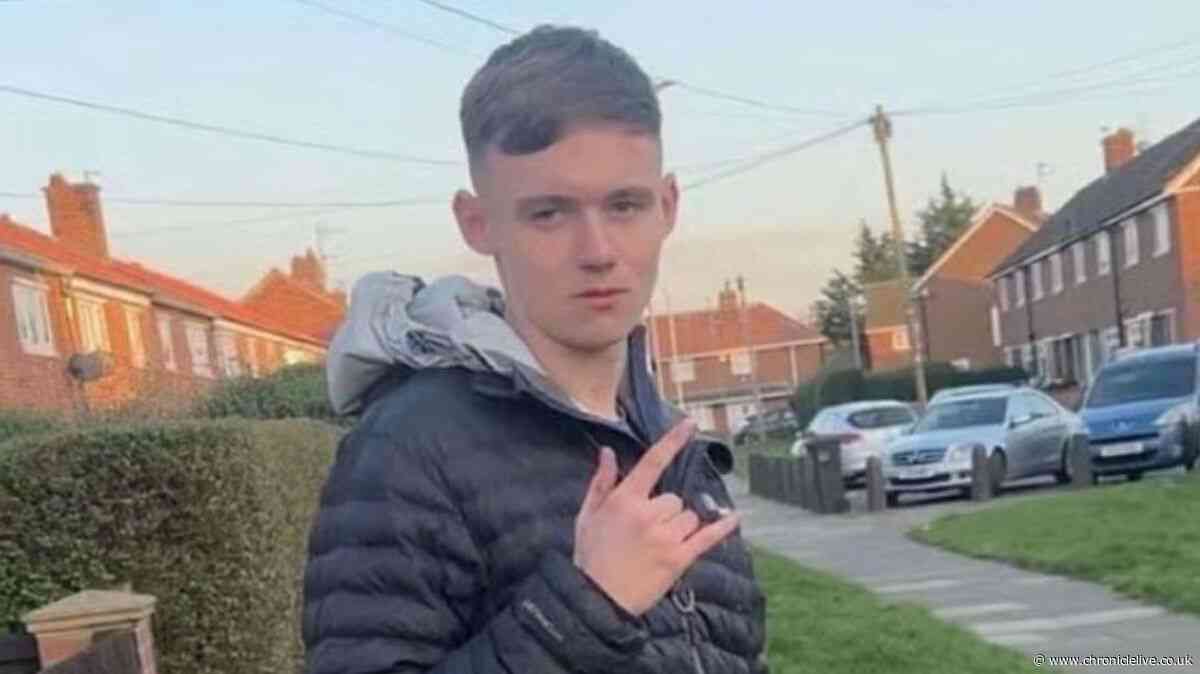 Teen killed in A66 crash was prosecuted for racially abusing and assaulting police officers