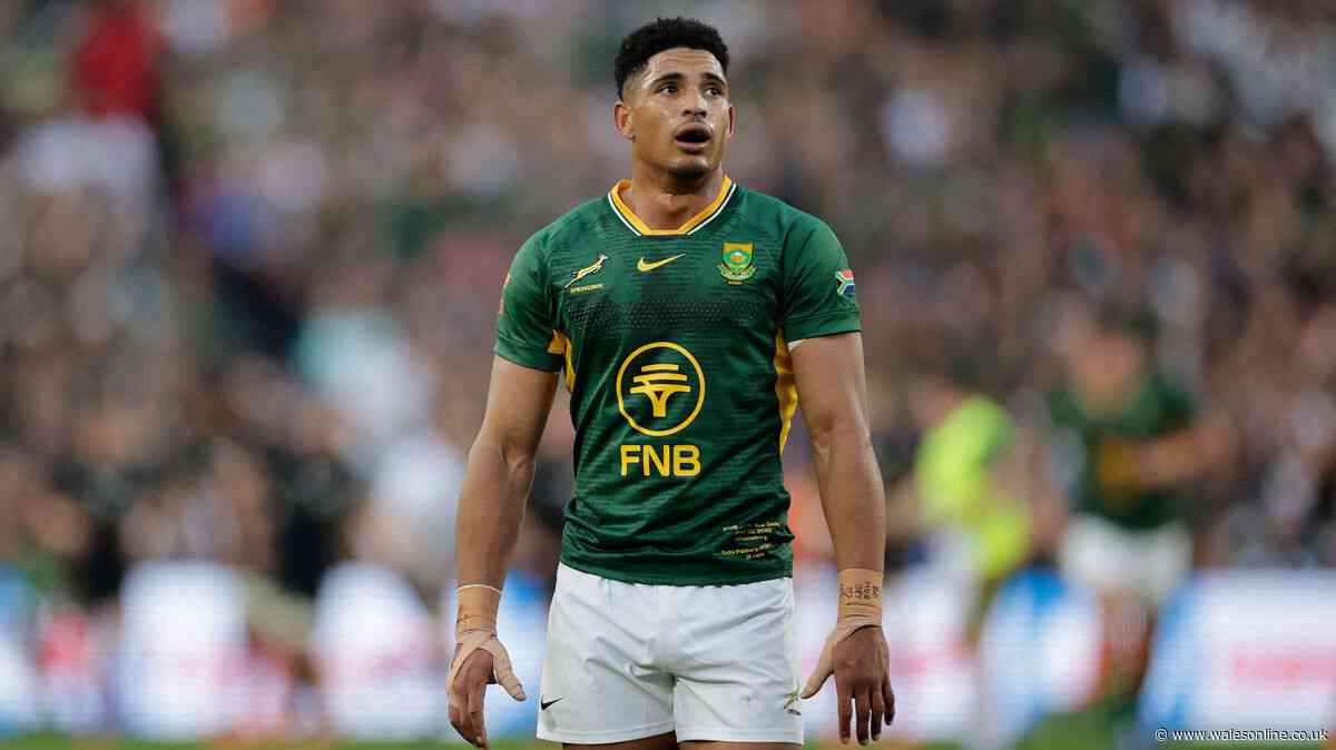 World's new best rugby team confirmed as Springboks knocked off top spot