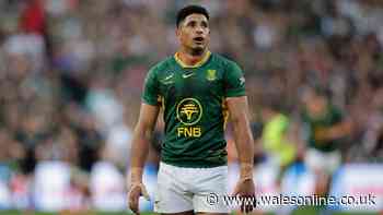 World's new best rugby team confirmed as Springboks knocked off top spot
