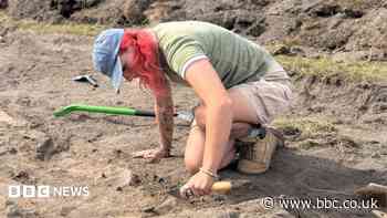 Hidden structure may solve years-old mystery