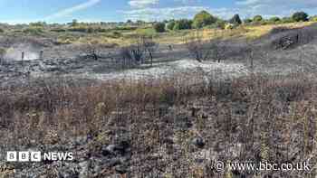 Grass fire on relief road may have been deliberate