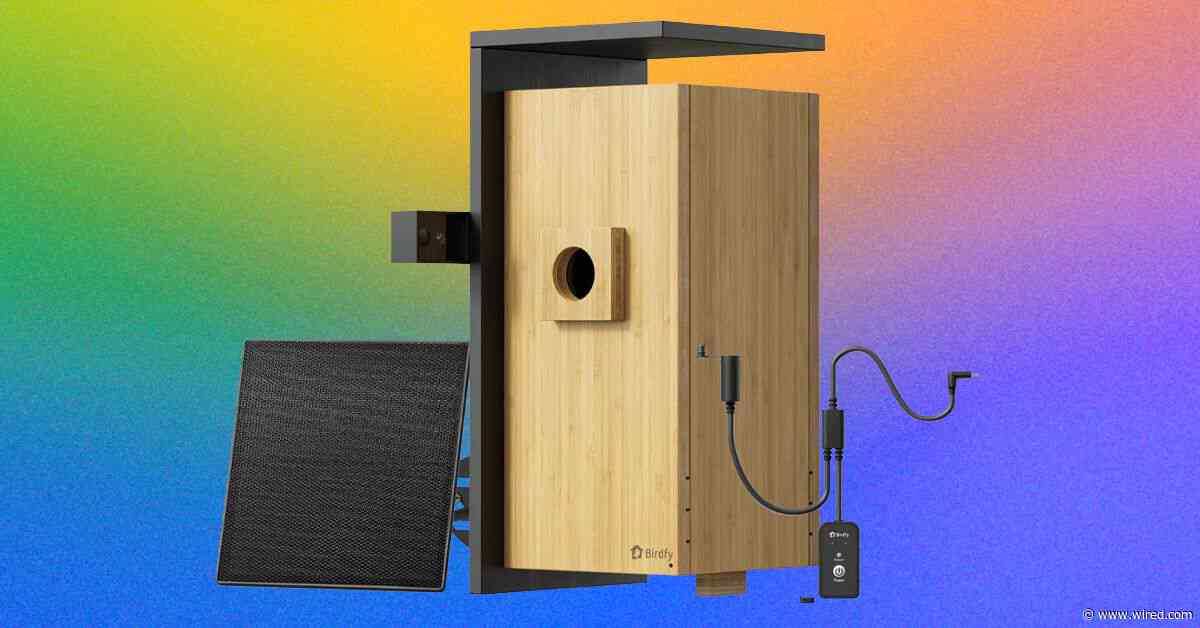Birdfy Nest Duo Review: My Own Private Nature Documentary