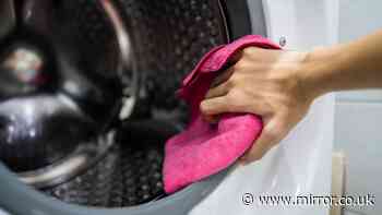 Washing machines will be free of mould with 2-ingredient trick that makes clothes smell fresh