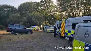 Seven arrested as police with riot shields break up illegal rave in quiet Norfolk village