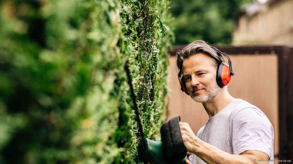 Hedge cutting rules across the UK to change within days