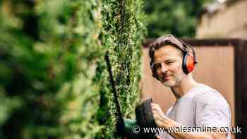 Hedge cutting rules across the UK to change within days