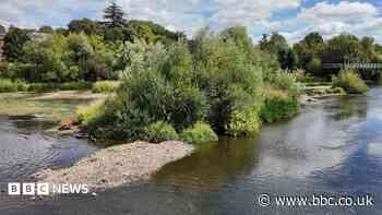 River levels 'exceptionally low' as drought bites