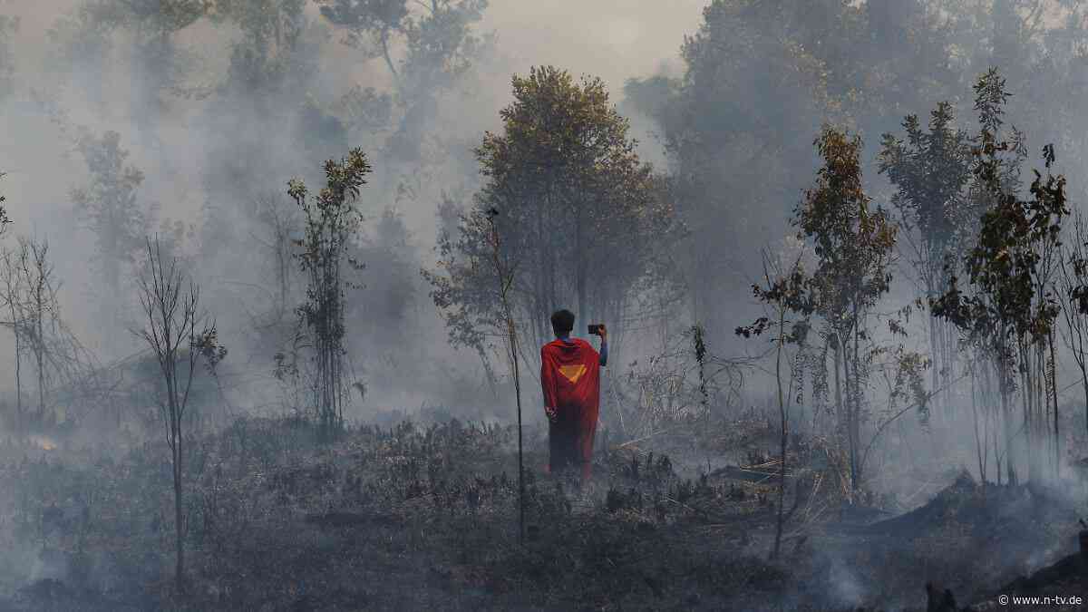 Heftige Waldbrände in Indonesien: Wie ein Jugendlicher als Superman die Flammen bekämpft