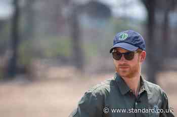 Harry steps down from controversial African wildlife charity