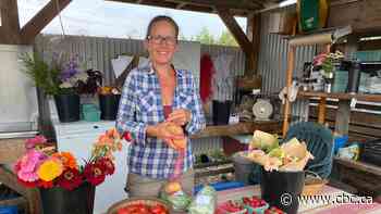 After decades-long ban, Central Saanich farmers welcome return of potato