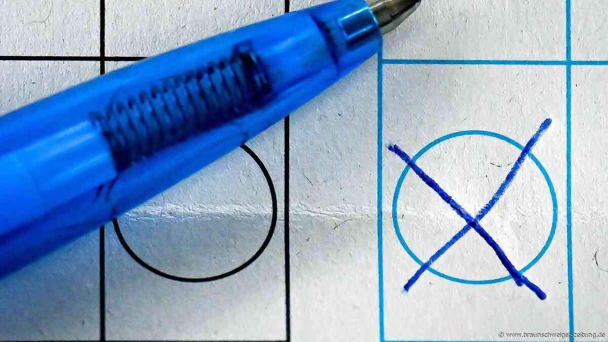 Gewinne, Verluste, Machtwechsel: So wählte Salzgitter 2021 bei der Kommunalwahl