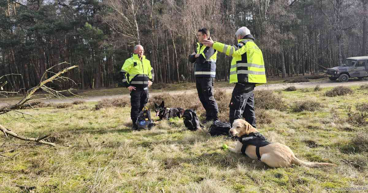 Dominic is thuis: dit is hoe – wanhopig – naar hem werd gezocht en waarom hij alsnog is gevonden
