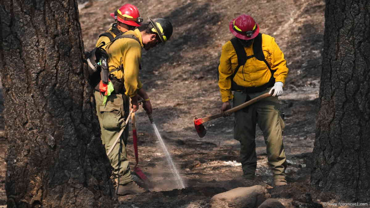 Firefighters warned about unproven supplement offered after wildfire smoke exposure