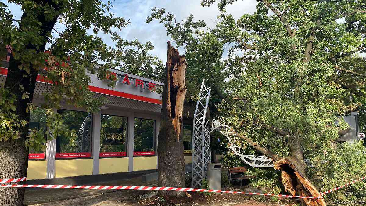 Schäden in Millionenhöhe: Unwetter im Baltikum kappen Hunderttausenden den Strom