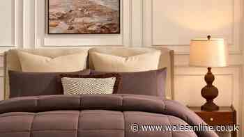 Dusk's autumn duvet 'makes me smile' and there’s no cover to wrestle with