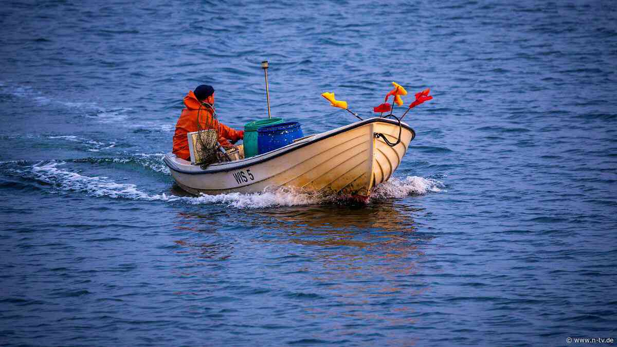 Bestände unter Mindestwert: EU will Fischern den Heringsfang in westlicher Ostsee verbieten