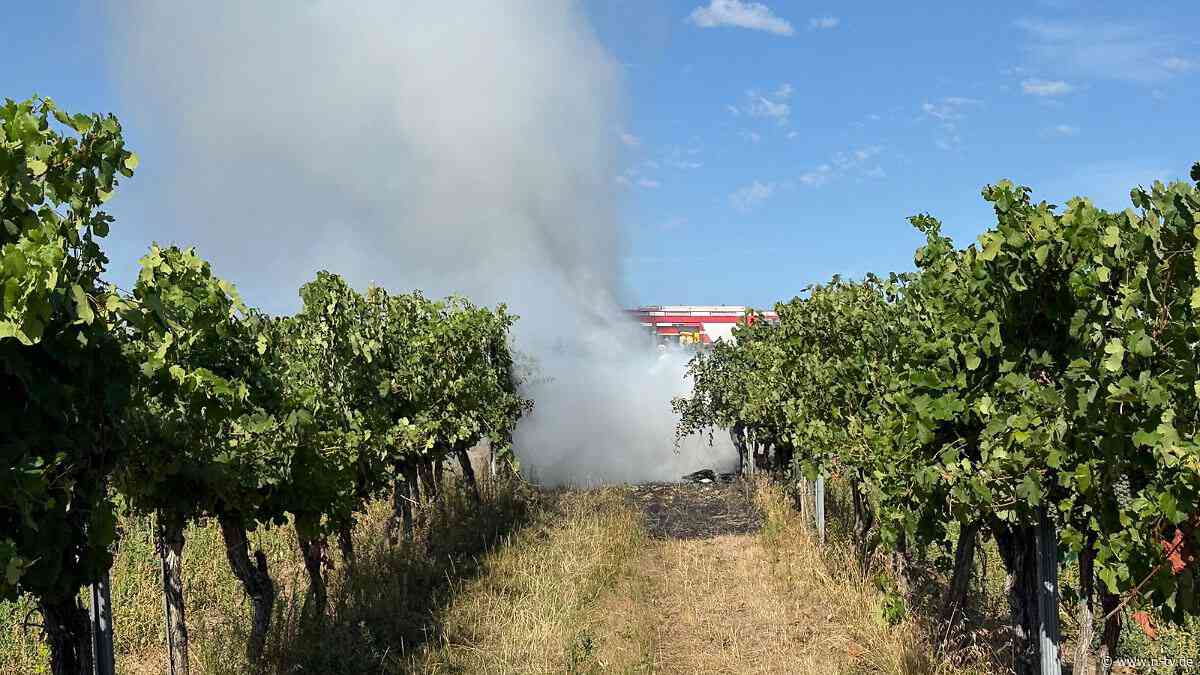 Unglück in Niederösterreich : Piloten sterben bei Kollision zweier Kleinflugzeuge