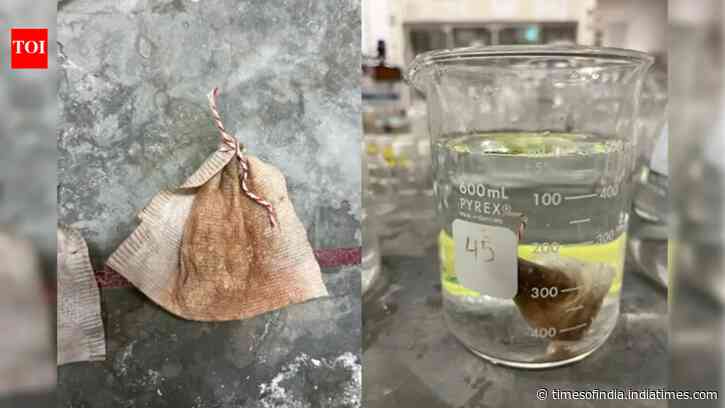 Meet Vick Tan: The Minnesota student who turned a teabag into a low-cost arsenic filter