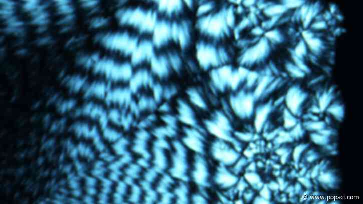 Lab-made DNA can store memory like a flash drive
