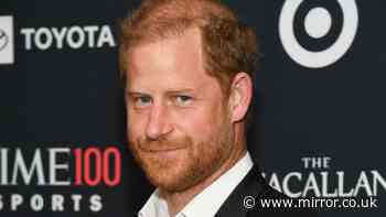 Prince Harry parts ways with controversial African wildlife charity ahead of UK return