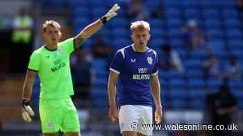 The very different Cardiff City XI to play Norwich as record to break amid crisis