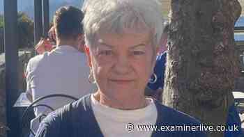 Great-grandmother dies as man arrested on suspicion of murder