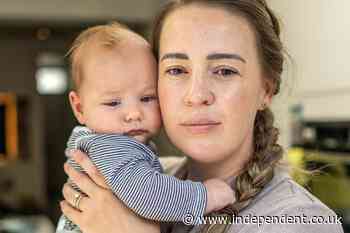 Mother’s horror as fox creeps into home and bites baby’s head