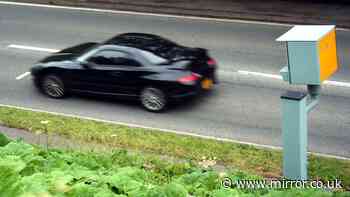 Criminals using cloned car plates - and getting innocent drivers pulled over
