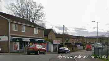 Two people arrested after disturbance near Pontypridd