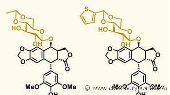 Baker’s yeast engineered to produce precursor for essential cancer drugs