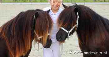 Fokken is gokken, zeggen ze: hier in Etten-Leur draait alles om benen en die perfecte ponylook