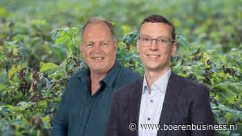 Krijgen we dit seizoen opnieuw een Engelandjaar?