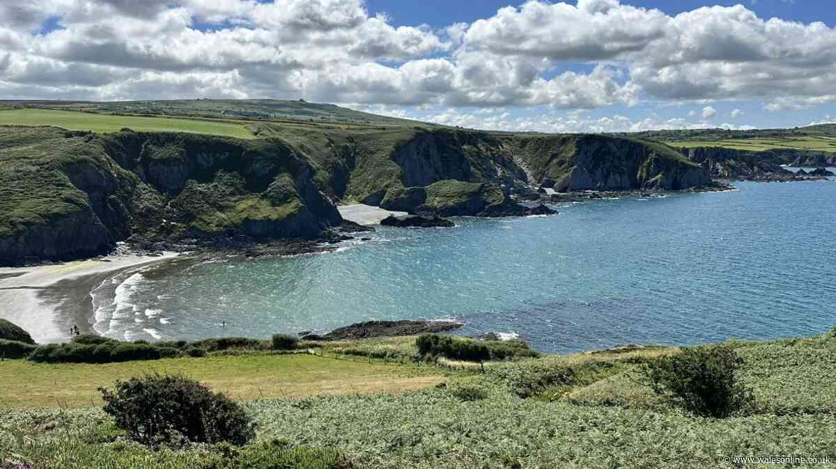 One of the best coastal pub walks in Wales has wildlife and epic views