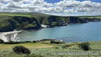One of the best coastal pub walks in Wales has wildlife and epic views