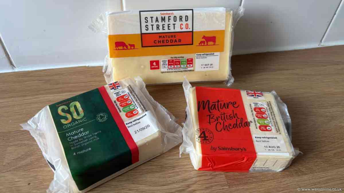 I tried Sainsbury's budget, mid-range and premium cheddar cheese – with one clear winner