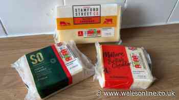 I tried Sainsbury's budget, mid-range and premium cheddar cheese – with one clear winner