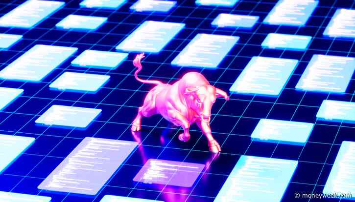‘The Magnificent 7 may have faltered but the bull market is not over yet’
