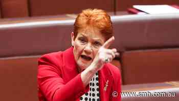 1000 One Nation voters said why they were voting for Hanson - and what it would take to switch