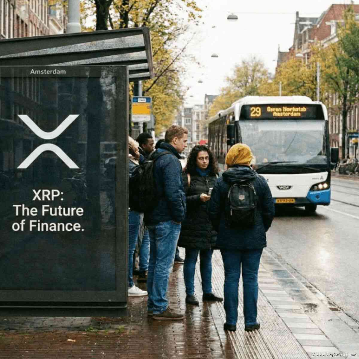 Dit zeggen analisten vandaag over XRP: 'Dit is de motor achter de rally'