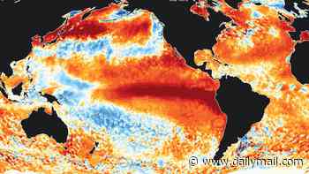 The ominous sign Super El Niño is ramping up: Global ocean temperatures hit a record high - and scientists say the worst is yet to come