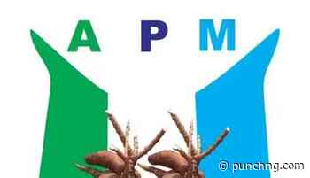 2027: Makinde best man to defeat Tinubu — APM
