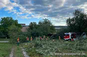 FW Reichenau: Baum blockiert Fahrweg - 22.08.2026