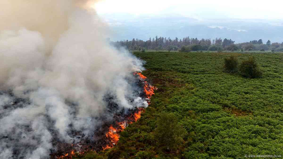 The seven wildfires that emergency teams are still battling in parts of Wales