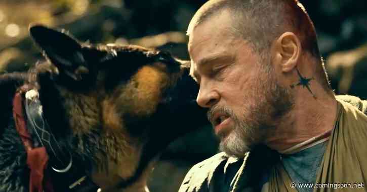 Brad Pitt’s Intense Dog Movie Heart of the Beast Ends a 17-Year Wait