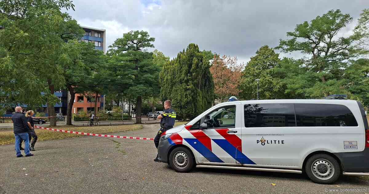 Tweede man (31) opgepakt voor geweld in Kronenburgerpark, verdachten in volledige beperkingen
