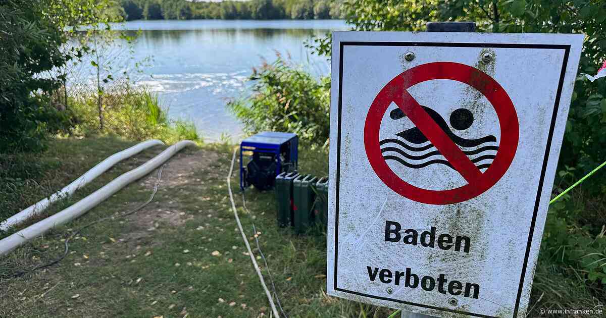 "Kieswäsch": Badesee-Verbot - Großaktion soll Massensterben verhindern