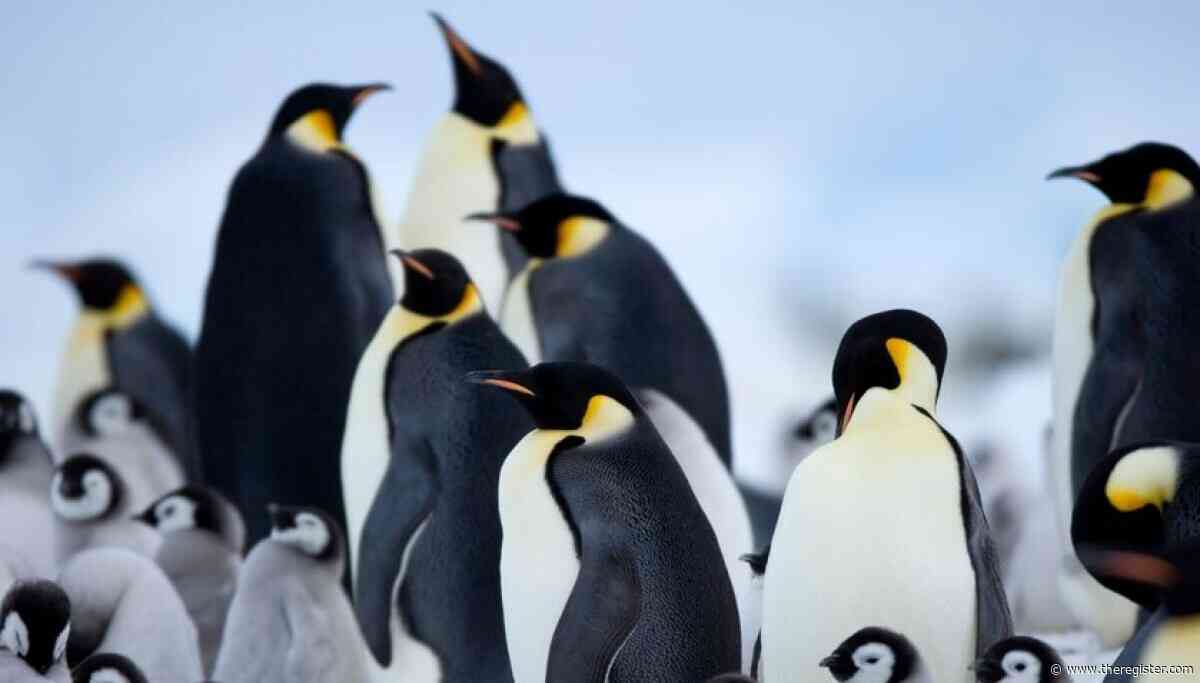 Emperor Penguin Linus Torvalds banishes a bug – with a bot