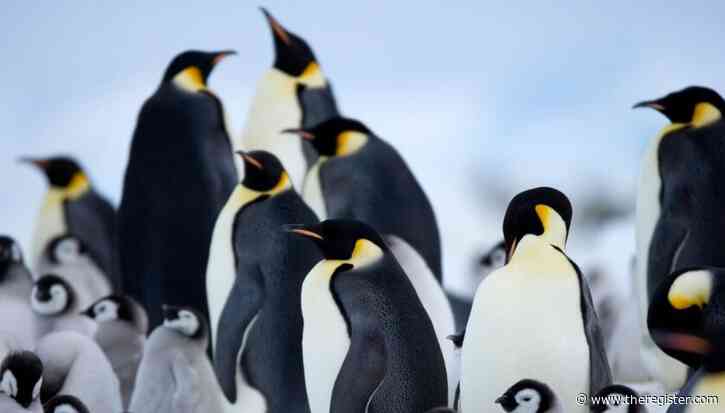 Emperor Penguin Linus Torvalds banishes a bug – with a bot
