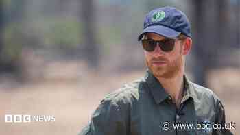 Prince Harry steps down from African wildlife charity board
